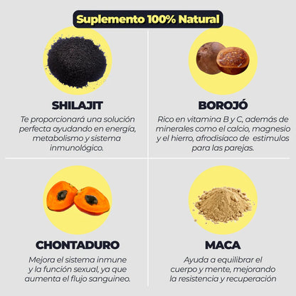 EL ORO DEL HIMALAYA SHILAJIT: ENERGIA PURA, VITALIDAD NATURAL